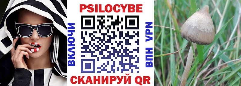 Галлюциногенные грибы Psilocybine cubensis  где продают наркотики  Тайшет 